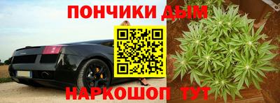 крисы Чебоксары